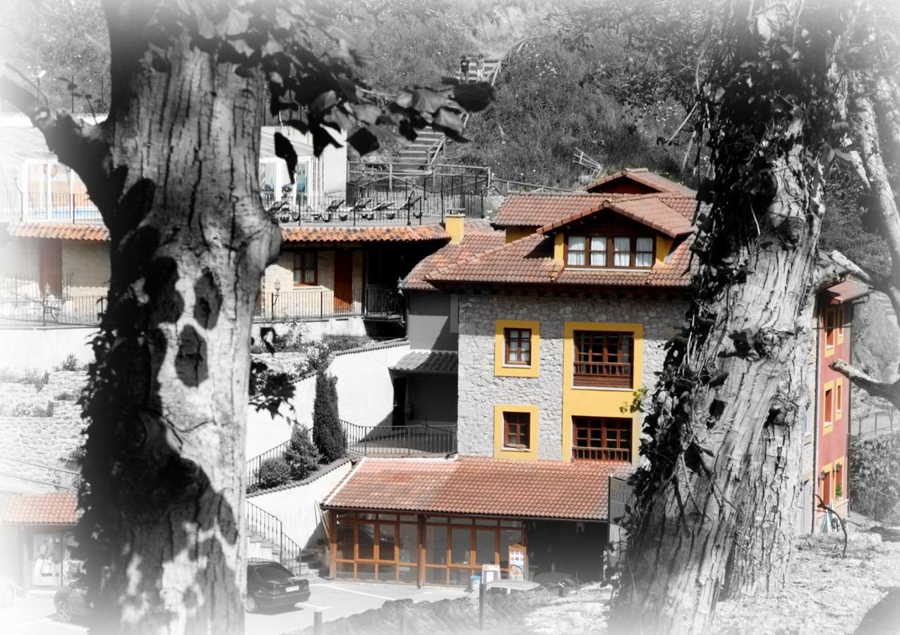 Hotel Puente Vidosa 아미에바 외부 사진